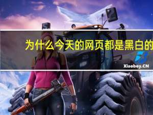 为什么今天的网页都是黑白的（为什么今天的网页都是黑白的）
