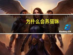 为什么会养猫咪