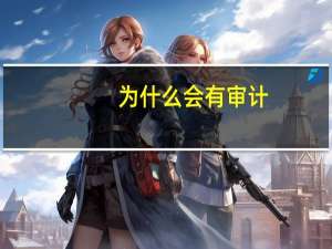 为什么会有审计