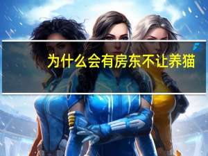 为什么会有房东不让养猫