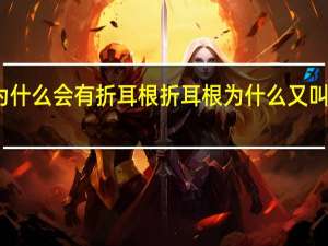 为什么会有折耳根 折耳根为什么又叫鱼腥草