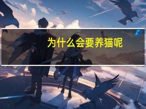 为什么会要养猫呢