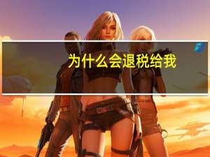 为什么会退税给我