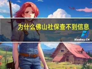 为什么佛山社保查不到信息