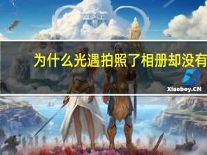 为什么光遇拍照了相册却没有