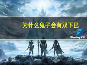 为什么兔子会有双下巴(兔子长了双下巴是因为什么)