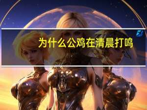 为什么公鸡在清晨打鸣