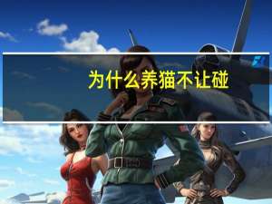为什么养猫不让碰