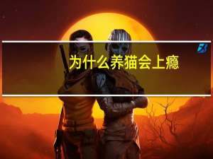 为什么养猫会上瘾