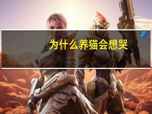 为什么养猫会想哭
