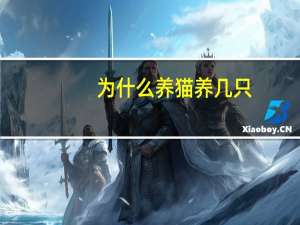 为什么养猫养几只