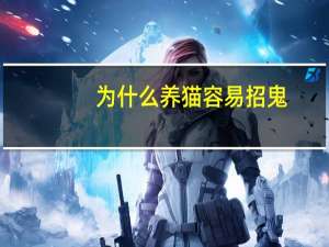 为什么养猫容易招鬼