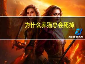 为什么养猫总会死掉