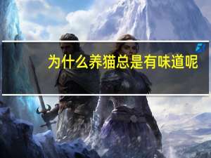 为什么养猫总是有味道呢