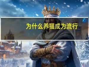 为什么养猫成为流行