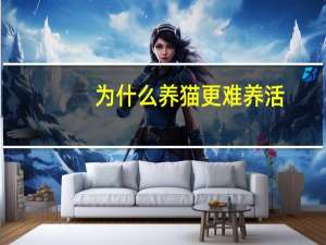 为什么养猫更难养活