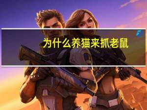 为什么养猫来抓老鼠