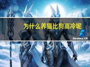 为什么养猫比狗高冷呢