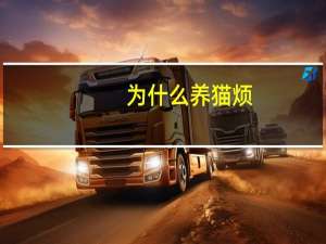 为什么养猫烦
