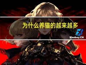 为什么养猫的越来越多