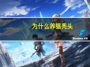 为什么养猫秃头