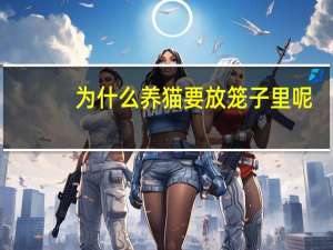 为什么养猫要放笼子里呢