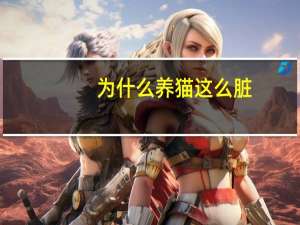 为什么养猫这么脏