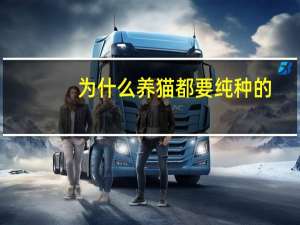 为什么养猫都要纯种的