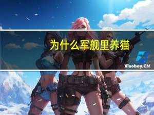为什么军舰里养猫