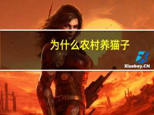 为什么农村养猫子