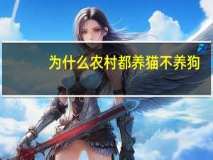 为什么农村都养猫不养狗