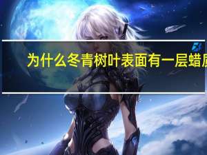 为什么冬青树叶表面有一层蜡质