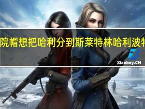 为什么分院帽想把哈利分到斯莱特林 哈利波特斯莱特林攻略