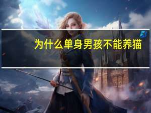 为什么单身男孩不能养猫