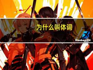 为什么叫体词