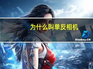 为什么叫单反相机