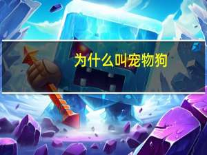 为什么叫宠物狗