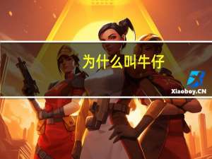 为什么叫牛仔