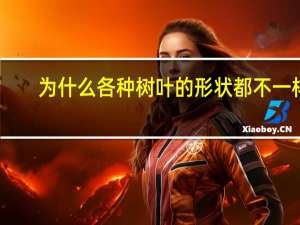 为什么各种树叶的形状都不一样