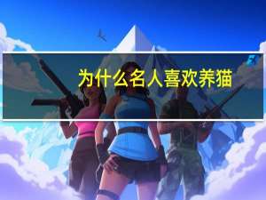 为什么名人喜欢养猫