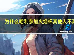为什么哈利参加火焰杯其他人不高兴