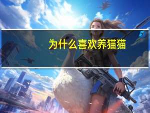 为什么喜欢养猫猫