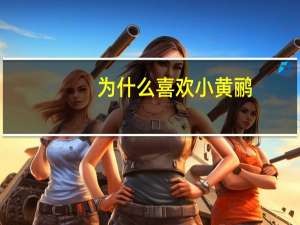 为什么喜欢小黄鹂