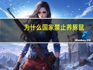 为什么国家禁止养豚鼠