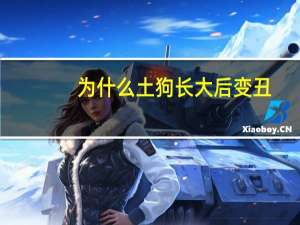 为什么土狗长大后变丑