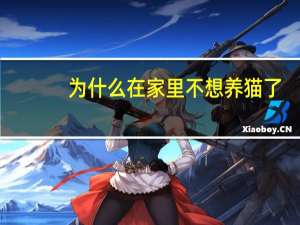 为什么在家里不想养猫了