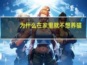 为什么在家里就不想养猫
