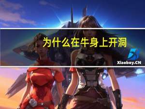 为什么在牛身上开洞