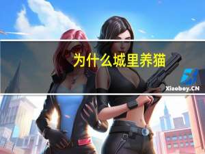 为什么城里养猫