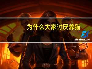 为什么大家讨厌养猫